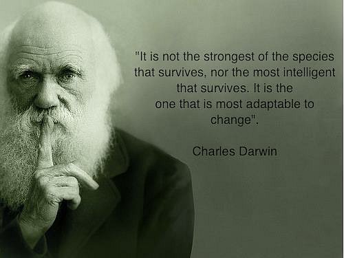 darwinadapt.jpg
