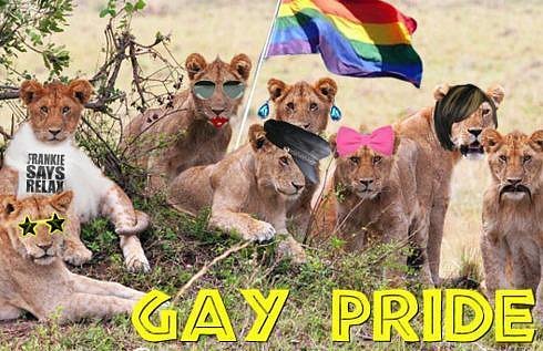 gaypridelions.jpg