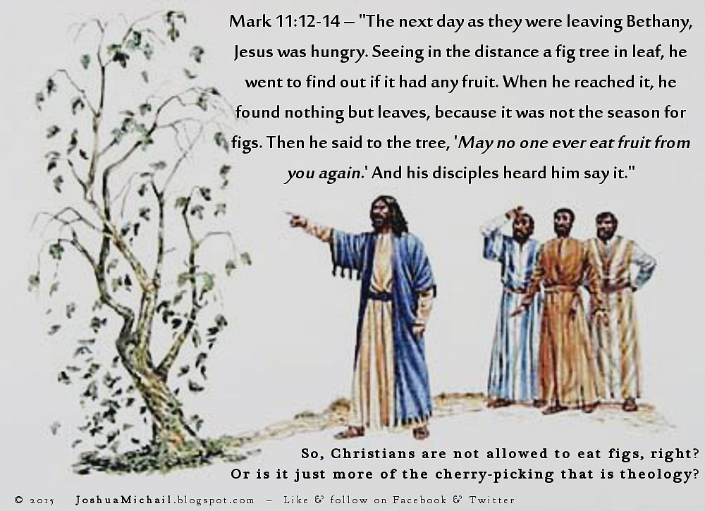 jesusandfigtree.jpg