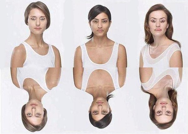 perspectives1.jpg