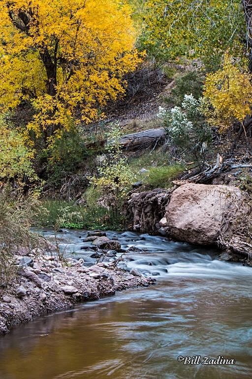 A Stream in Aravaipa Canyon