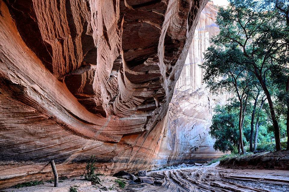 Under a Cliff at Canyon de Chelly